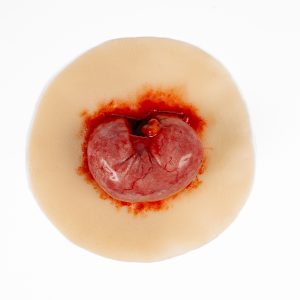 Evisceration Small