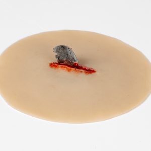 Wound with Metal Fragment