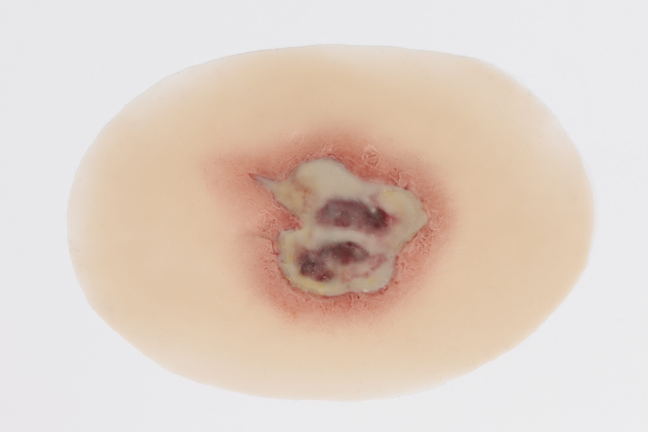 Clinical Various Range - Image 7