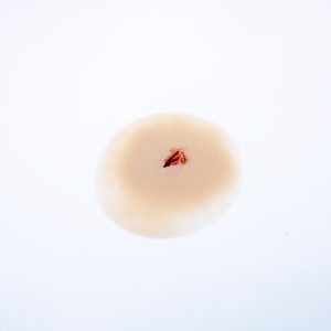 Fragmentation Single 2