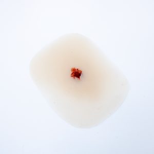 Fragmentation Single 1