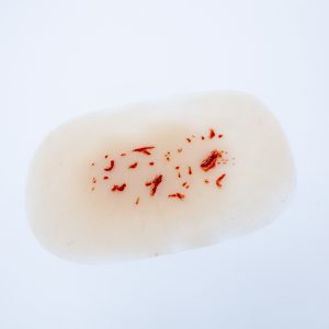 Fragmentation Spray 1