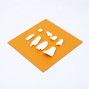 Bones in 8 Sizes