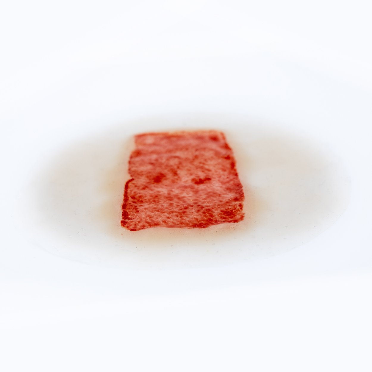 Skin Graft Donor Site - Image 4