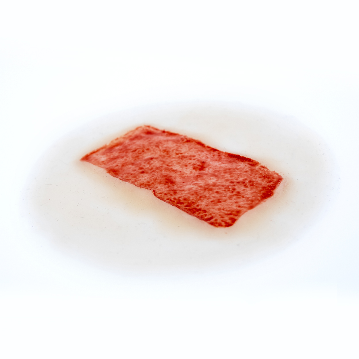 Skin Graft Donor Site
