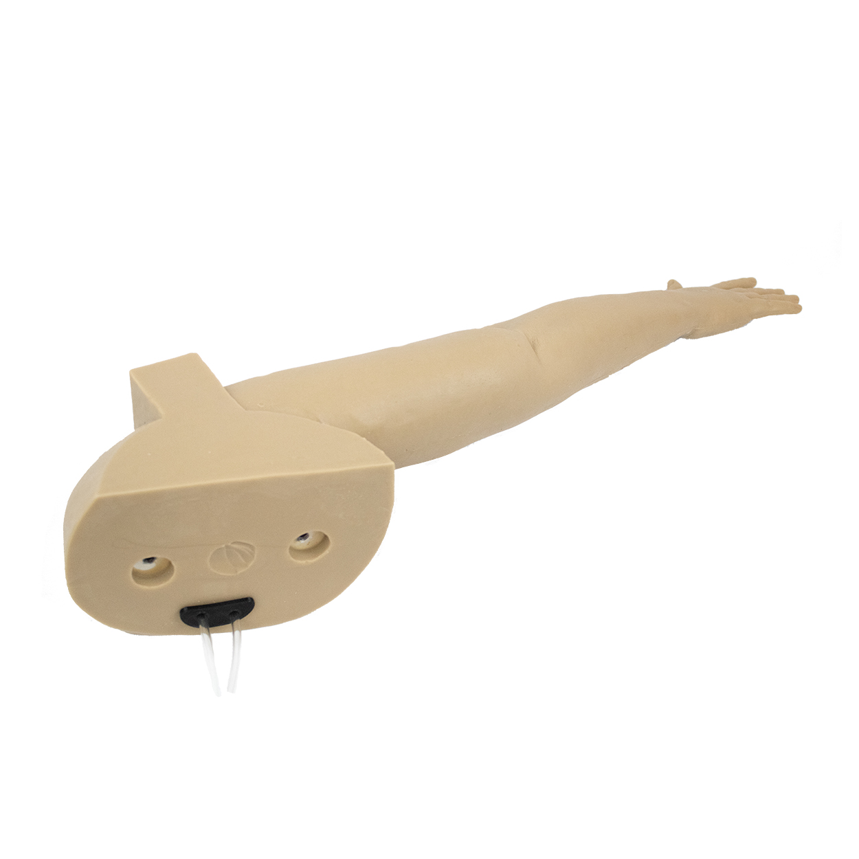 Haemorrhage Control Simulator Lifecast Arm - Image 11