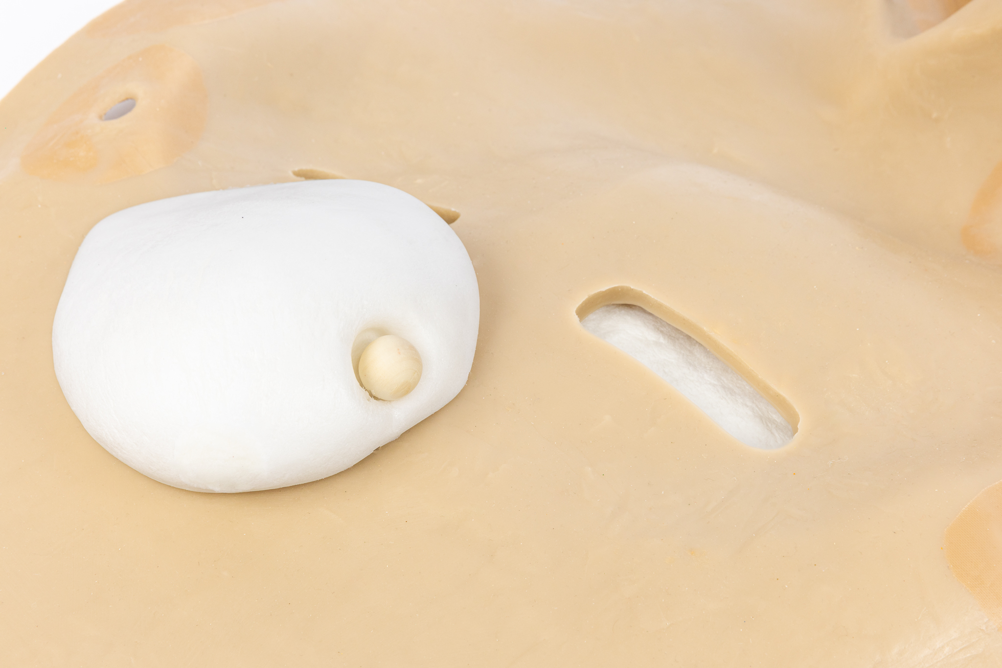 Simulation Skin - Middle Aged Female - SimMan Model - Image 8