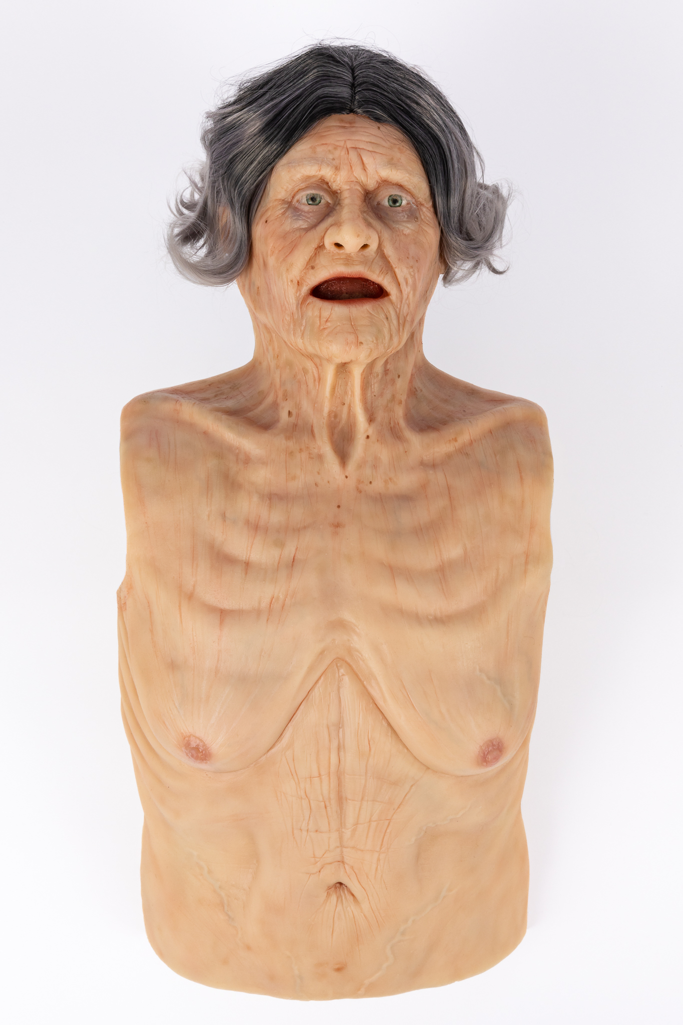 Simulation Skin - Elderly Female - SimMan Model - Image 6