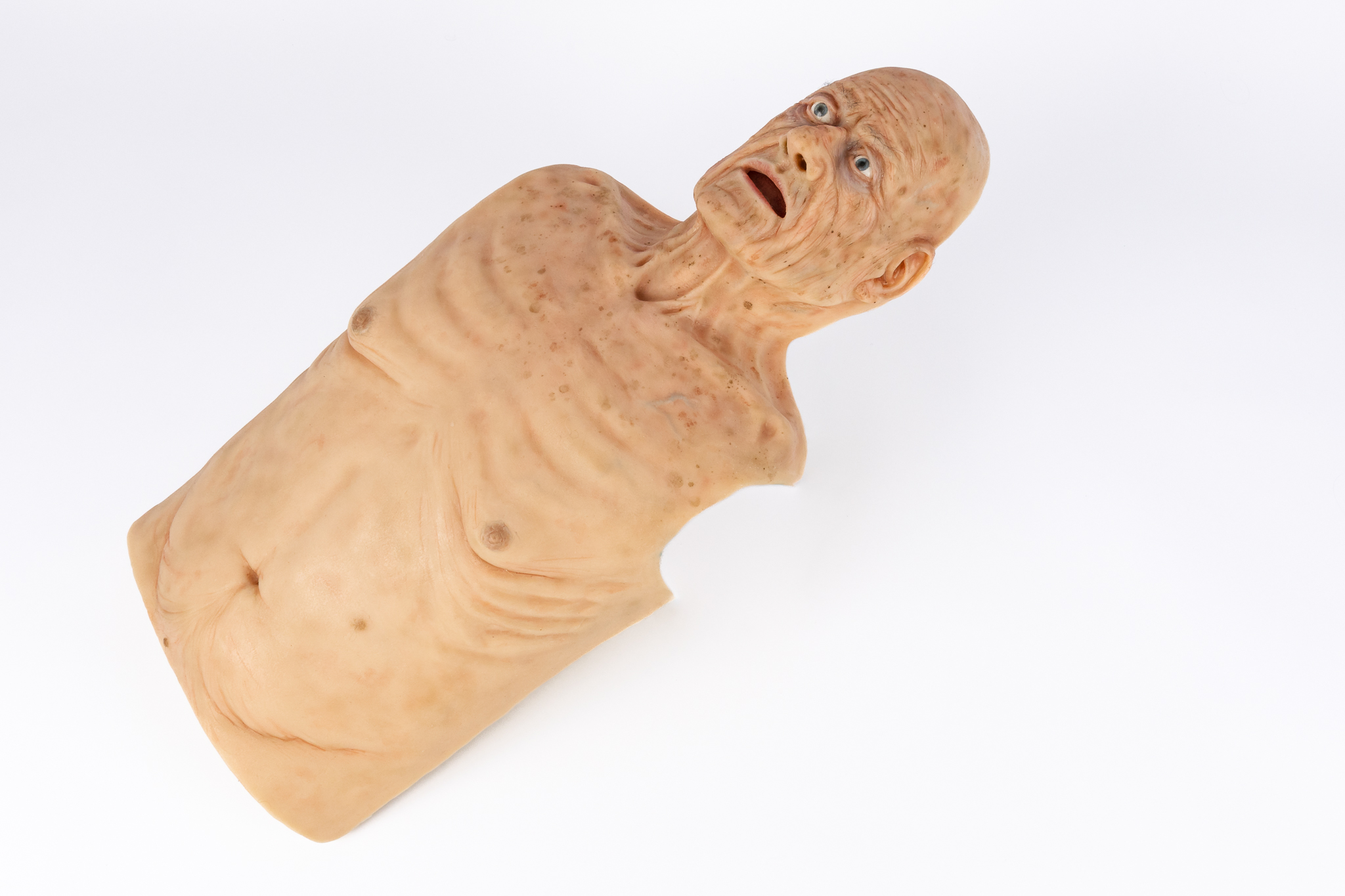 Simulation Skin - Elderly Male - SimMan Model - Image 8