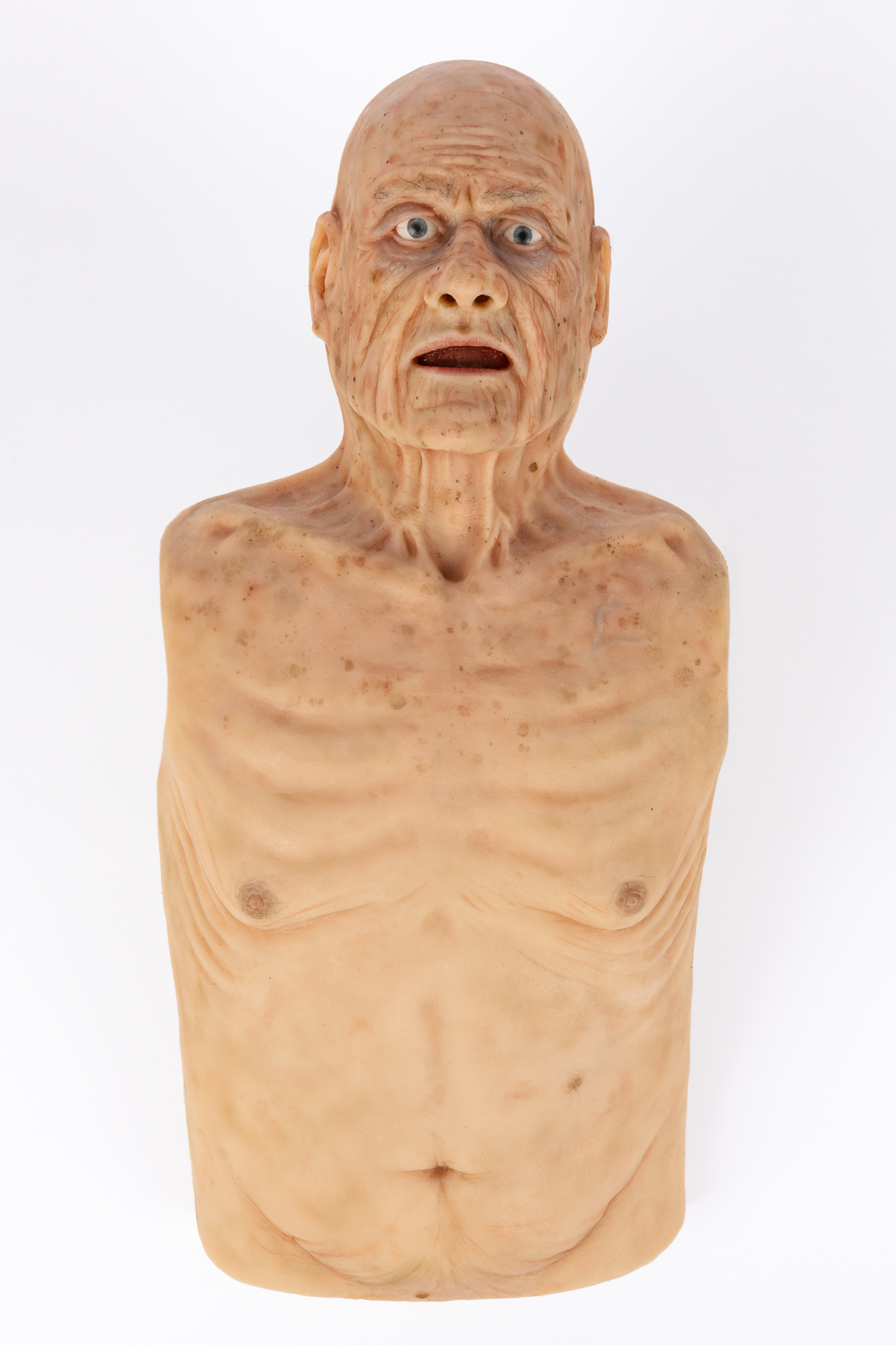 Simulation Skin - Elderly Male - SimMan Model - Image 9