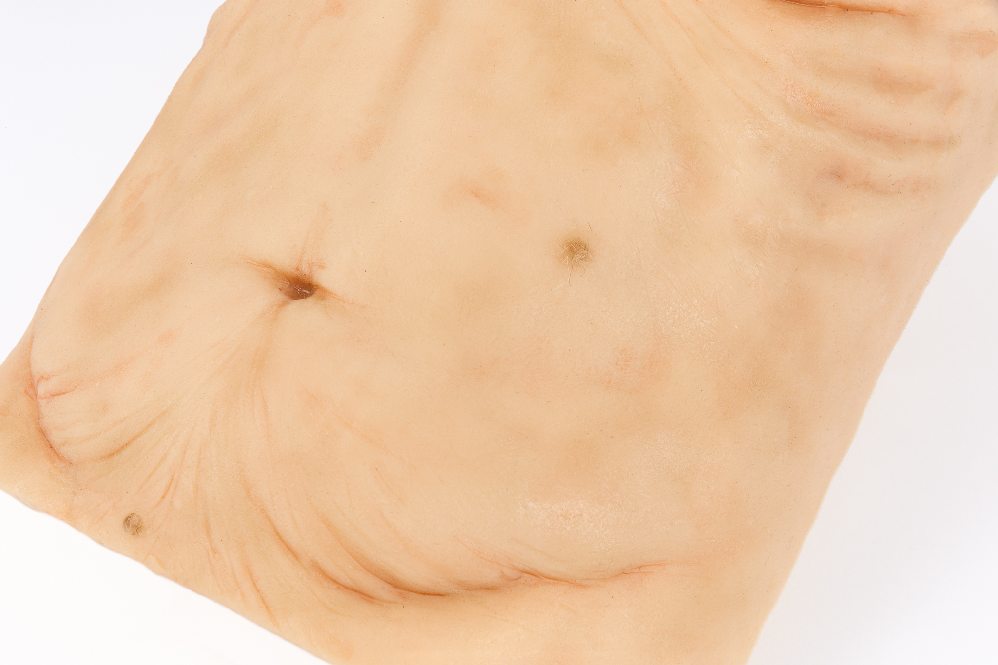 Simulation Skin - Elderly Male - SimMan Model - Image 10